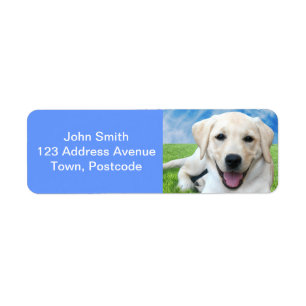 Etiqueta Los perros dejan huellas de pata en su corazón