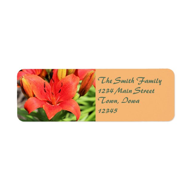 Etiqueta Lush Lily (Frente)