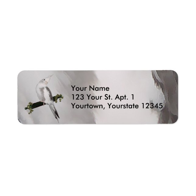 Etiqueta Lutino Cockatiel Bird Ivy Perch Animal (Frente)