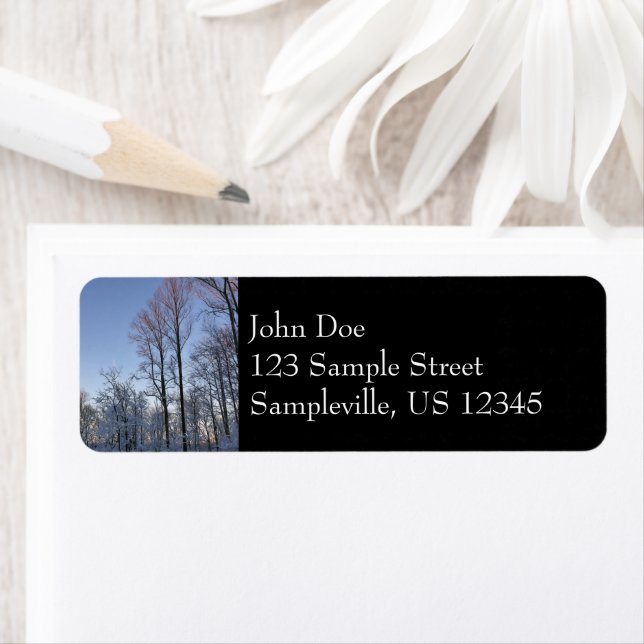 Etiqueta Luz de invierno matutina I (In situ)