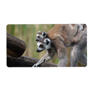 Etiqueta Madre Y Bebé De Lemur De Canto