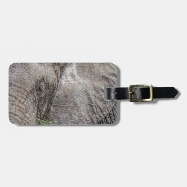 Etiqueta magnífica del equipaje del elefante (Frente Horizontal)
