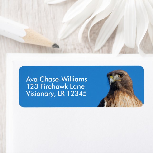 Etiqueta Magnífico halcón de cola roja al sol (In situ)