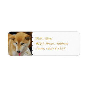 Etiqueta MailingLabel-5 - Modificado para requisitos