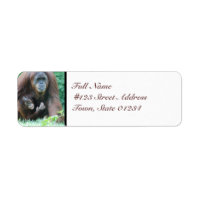 MailingLabel-5 - Personalizado