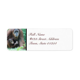 Etiqueta MailingLabel-5 - Personalizado
