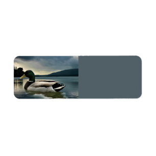 Etiqueta Mallard Duck On The Lake