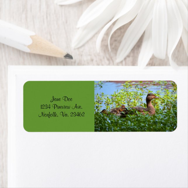 Etiqueta Mallard y Ducklings-Natación por Shirley Taylor (In situ)