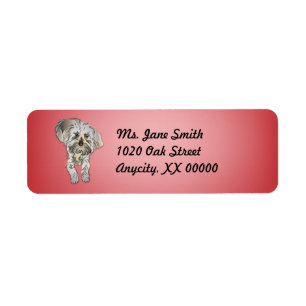 Etiqueta Maltipoo cachorro en rosa