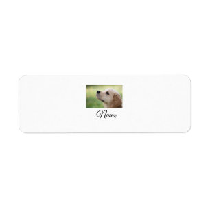 Etiqueta Manta personalizada con foto de animal colorido si