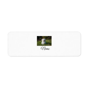 Etiqueta Manta personalizada con foto y nombre de animal co