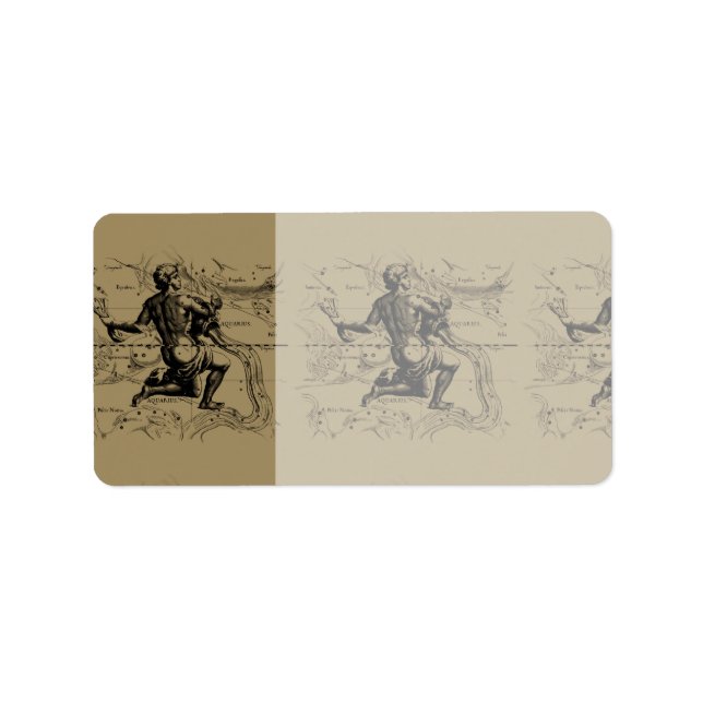 Etiqueta Mapa de Constelación de Aquarius Hevelius 1690 en  (Frente)