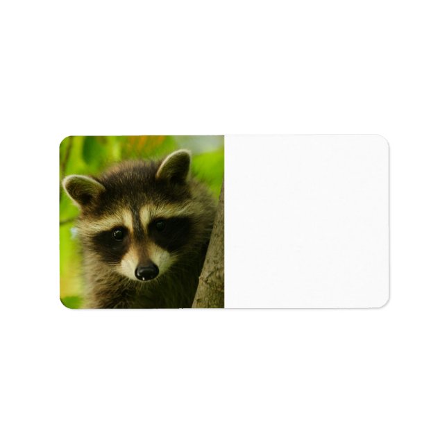 Etiqueta mapache (Frente)