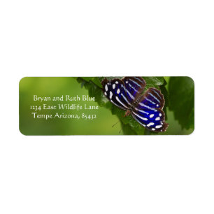 Etiqueta Mariposa de ala azul de México