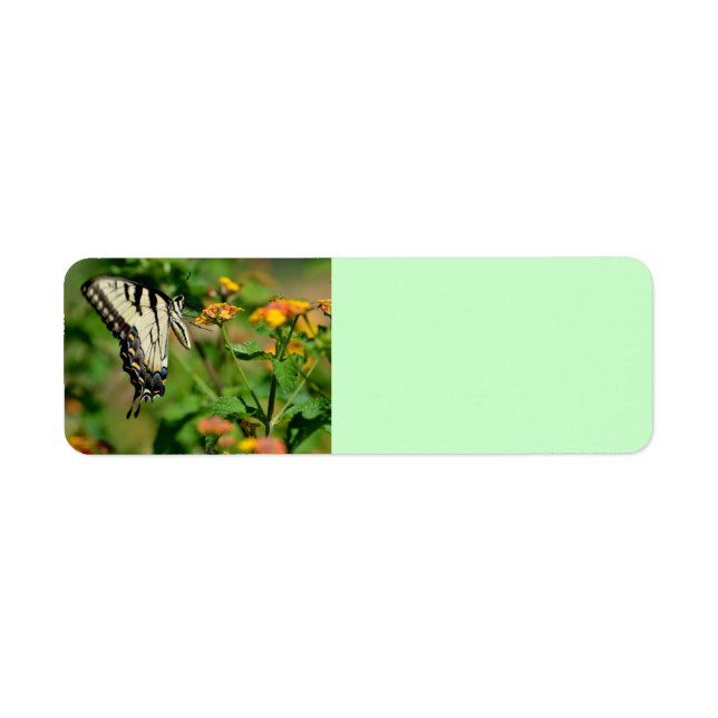 Etiqueta Mariposa de cola tortuga (Frente)