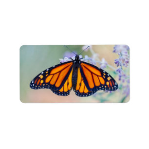 Etiqueta Mariposa de monarca