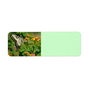 Etiqueta Mariposa de Swallowtail