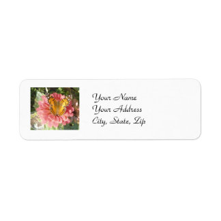 Etiqueta Mariposa en una zinnia rosa