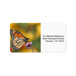 Etiqueta Mariposa monarca en busca de polen