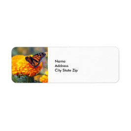 Etiqueta Mariposa Monarca Marigold Foto