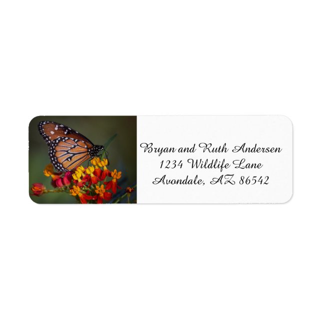 Etiqueta Mariposa reina en algas tropicales (Frente)