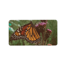Etiqueta mariposas naranja