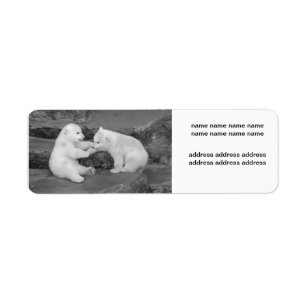 Etiqueta Maritimus del Ursus