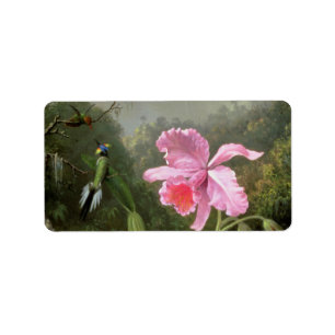 Etiqueta Martin Johnson Heade Orchid Y Hummingbirds
