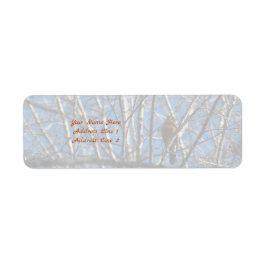 Etiqueta Más arriba