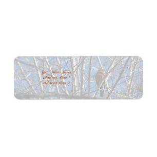 Etiqueta Más arriba