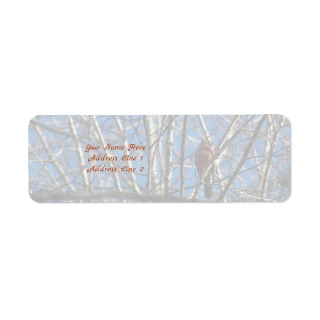 Etiqueta Más arriba (Frente)