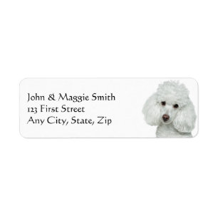 Etiqueta Mascota de perro canino blanco