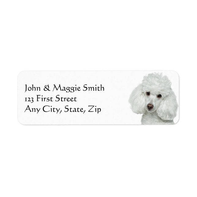 Etiqueta Mascota de perro canino blanco (Frente)
