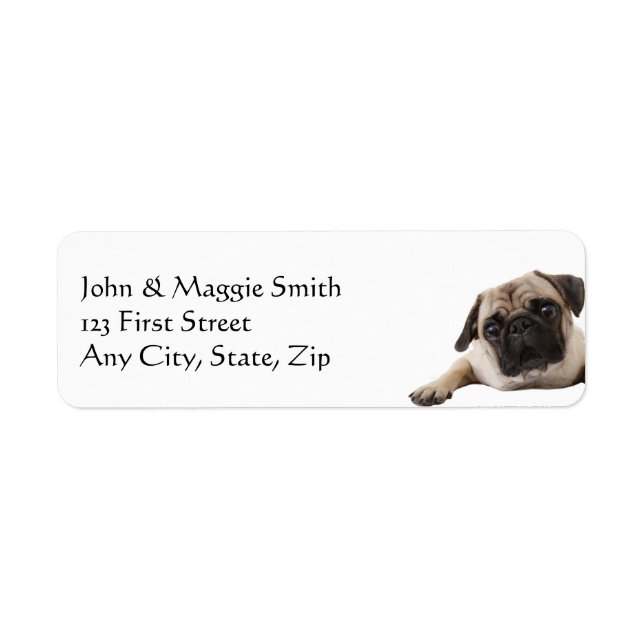 Etiqueta Mascota de perros Pug (Frente)