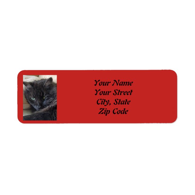 Etiqueta Mascota personalizado Foto (Frente)