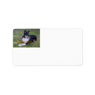 Etiqueta Me encanta mi Shetland Sheepdog Black Tri