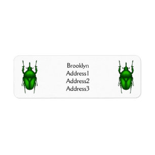 Etiqueta Mecynorhina torquata personalizado ilustracion