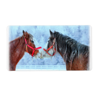 Etiqueta Mejores amigos