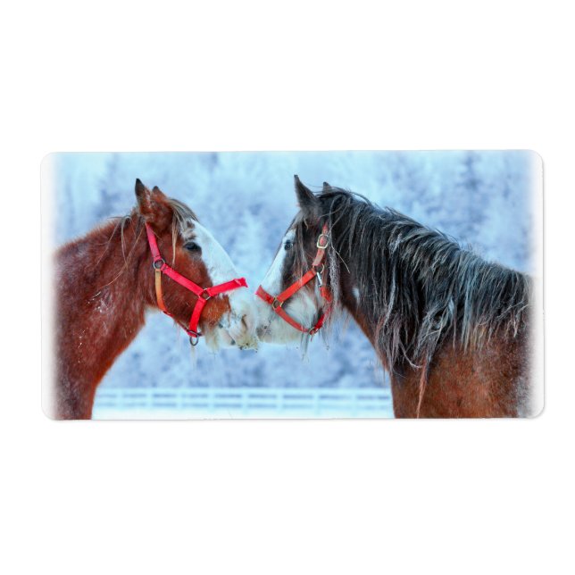 Etiqueta Mejores amigos (Frente)