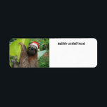 Etiqueta Merry Christmas Sloth<br><div class="desc">Navidades Sloth colgando en la rama de árbol</div>