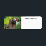 Etiqueta Merry Christmas Sloth<br><div class="desc">Navidades Sloth colgando en la rama de árbol</div>