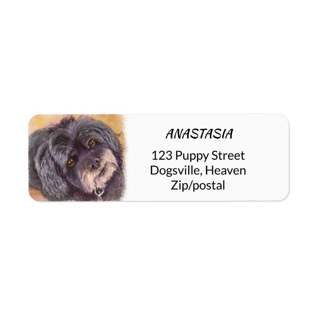 ETIQUETA MEZCLA DE COCK-A-POO NEGRO CUTIE (Frente)