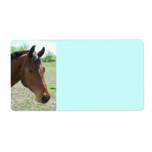 Etiqueta Mi amigo, el caballo