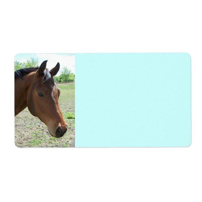 Etiqueta Mi amigo, el caballo (Frente)