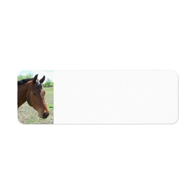 Etiqueta Mi Amigo, El Caballo - Personalizado (Frente)