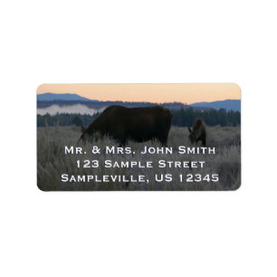 Etiqueta Moose Grazing al amanecer en Grand Teton