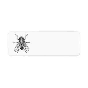 Etiqueta Mosca de la casa