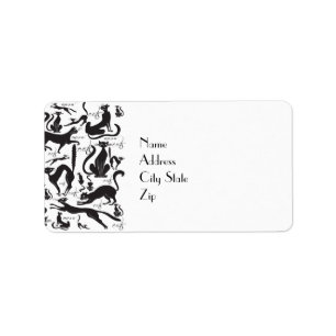 Etiqueta Muchos gatos