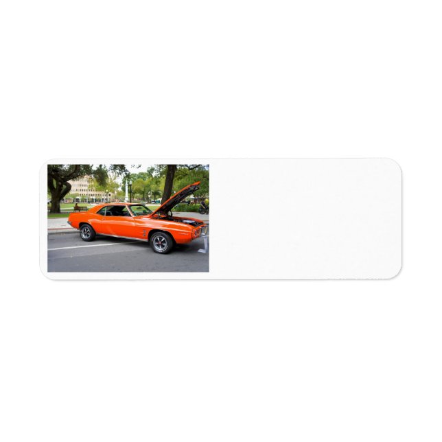 Etiqueta Músculo naranja (Frente)