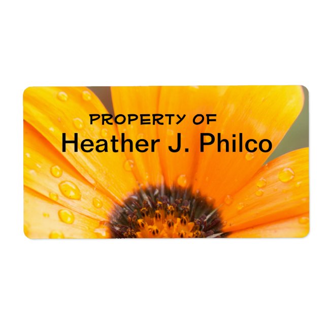 Etiqueta Naranja African Daisy Close-Up Photograph (Frente)